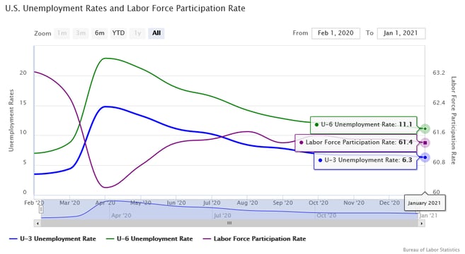 January 2021 U.S. Unemployment Rates and Labor Force Participation Rate